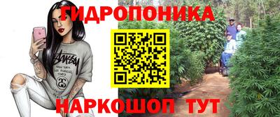 ешки Ноябрьск